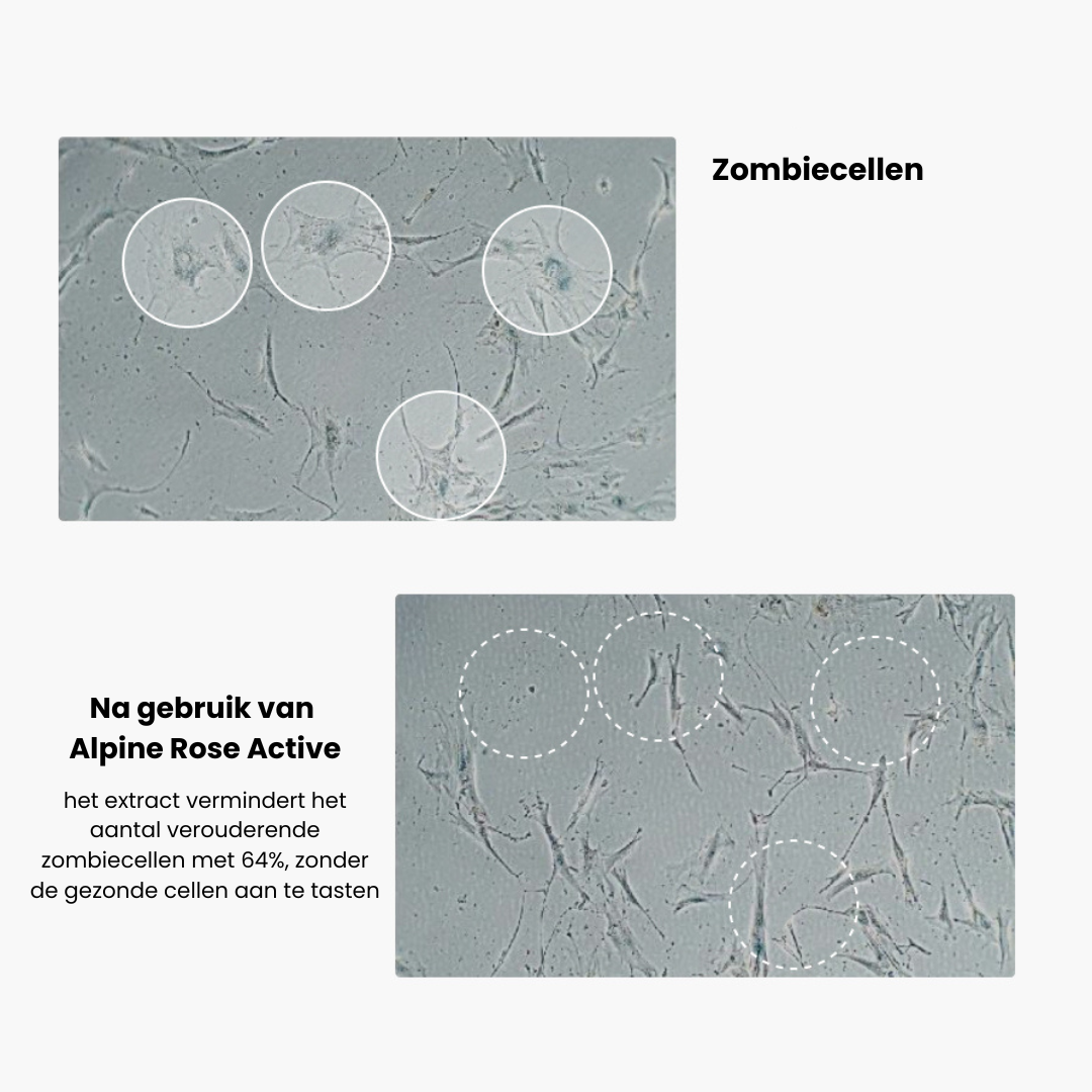 Zombie_serum_product_fotos_1.png
